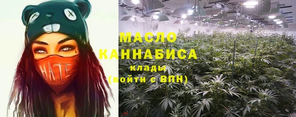 индика Баксан