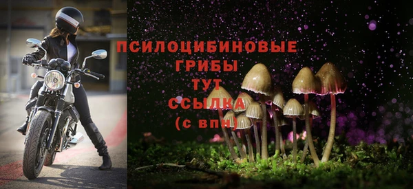 винт Балахна