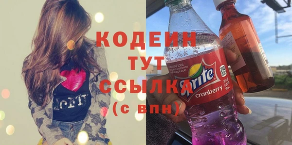 индика Баксан