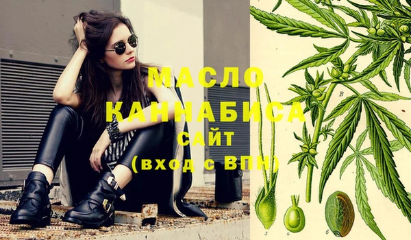 индика Баксан