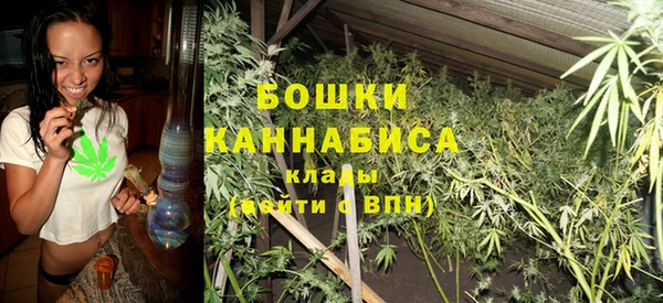 индика Баксан