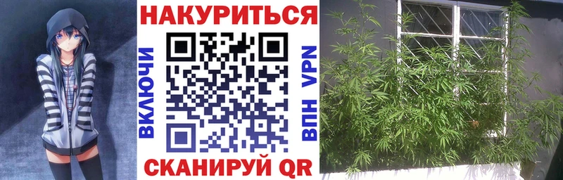 Бошки марихуана тримм Терек
